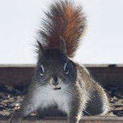 Foto de Debbie Etherington
