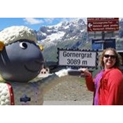 Michelle Gregory's photo