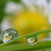 Sadaf Awans foto