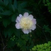 Melissa Kaule's photo