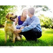 Amy Nelms's photo