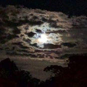 Della Gaskins's photo