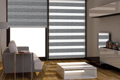 Inspiration for a modern living room remodel in Ottawa