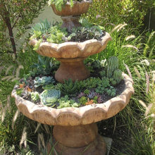 Fountain