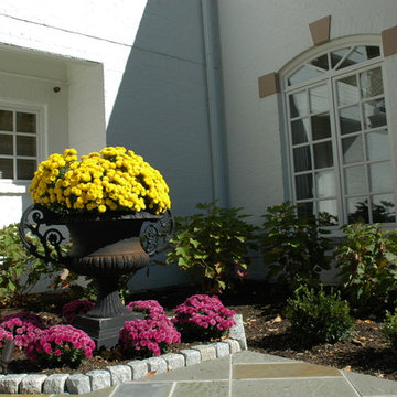 Urns and Focal points