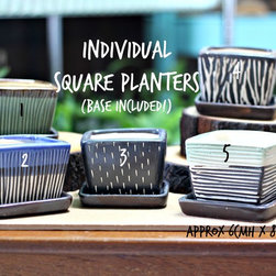 Teachers Day Specials - Indoor Pots And Planters