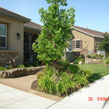 Exterior Ideas