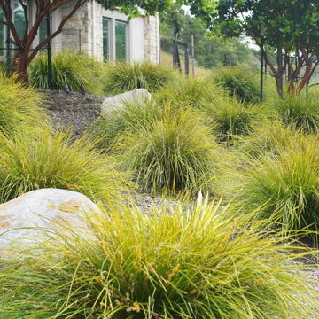 Extraordinary Greenery