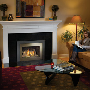 33 DVI Gas Fireplace Insert
