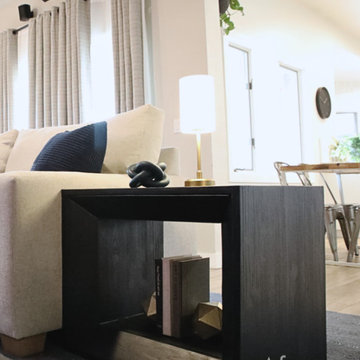 Living Room Redecoration in Tempe