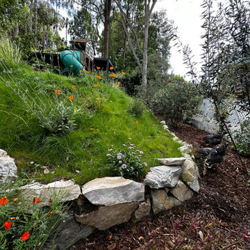 Childhood Oasis