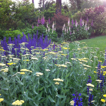 Perennial Garden, Westport, CT
