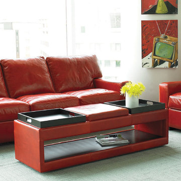 Danford Sofa & Chair | American Leather at Recliners.LA
