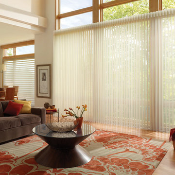 Luminette Privacy Sheers