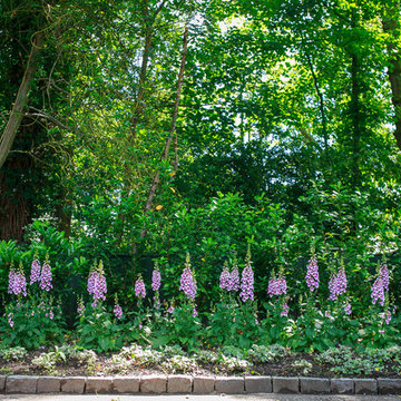 Historic Cottage, Cheshire by Barnes Walker Landscape Architects, Manchester
