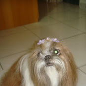 Danilo Monco's photo