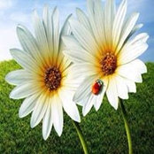 Sherry Glenn's photo