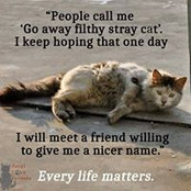 Lesa Dawn's photo