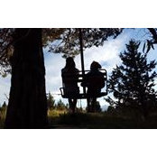 Wendy Johnson's photo