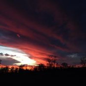 Casey Foster's photo