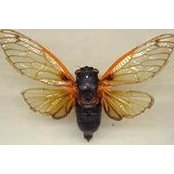 Kathy Barnard's photo