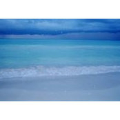 Mary Notsch's photo