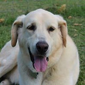 Tracy Brumley's photo