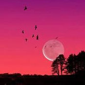 Jennifer Simon's photo