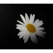 Virge Marnat's photo