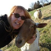 Patty Abel's photo