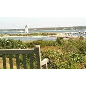 Michelle McMartin's photo