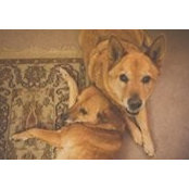 Kate Broussard's photo