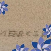 Allison Mercier's photo