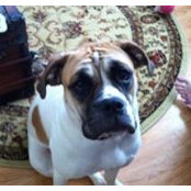 Debbie Acquaviva's photo