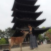 G V's photo