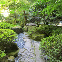 japanese garden