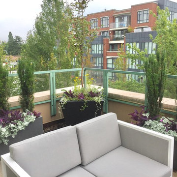 Cambie deck