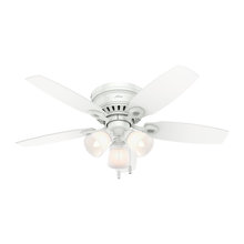 Ceiling Fans