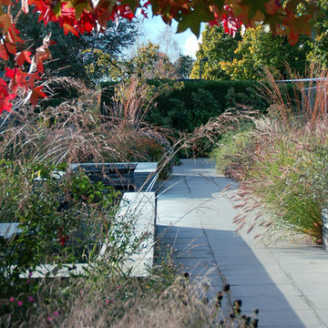 The Inclusive Garden, October 2013