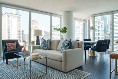 Living room - transitional living room idea in Chicago