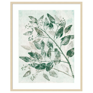 Eucalyptus 1 Green by Pernille Folcarelli Framed Wall Art 33 x 41