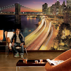 National Geographic Murals - Wall Decals