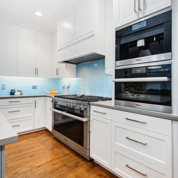 Lakeview Modern Kitchen