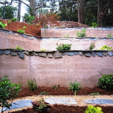 San Francisco Retaining Wall with Shade Garden