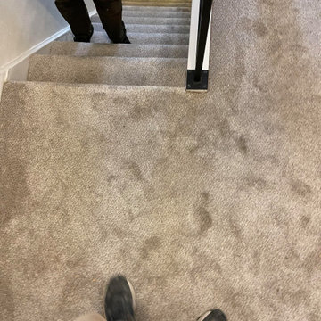 Seattle Home Renovation