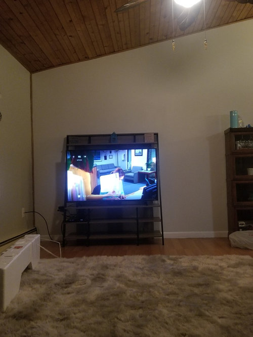 Help with ideas to decorate space around TV stand