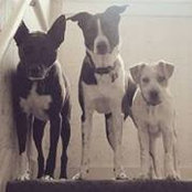 Bri Darby's photo