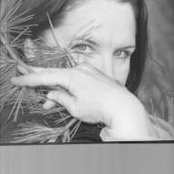 Pamela Donahue-Schroder's photo