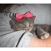 Toni Chenoweth's photo
