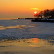 Photo de Mary Reif